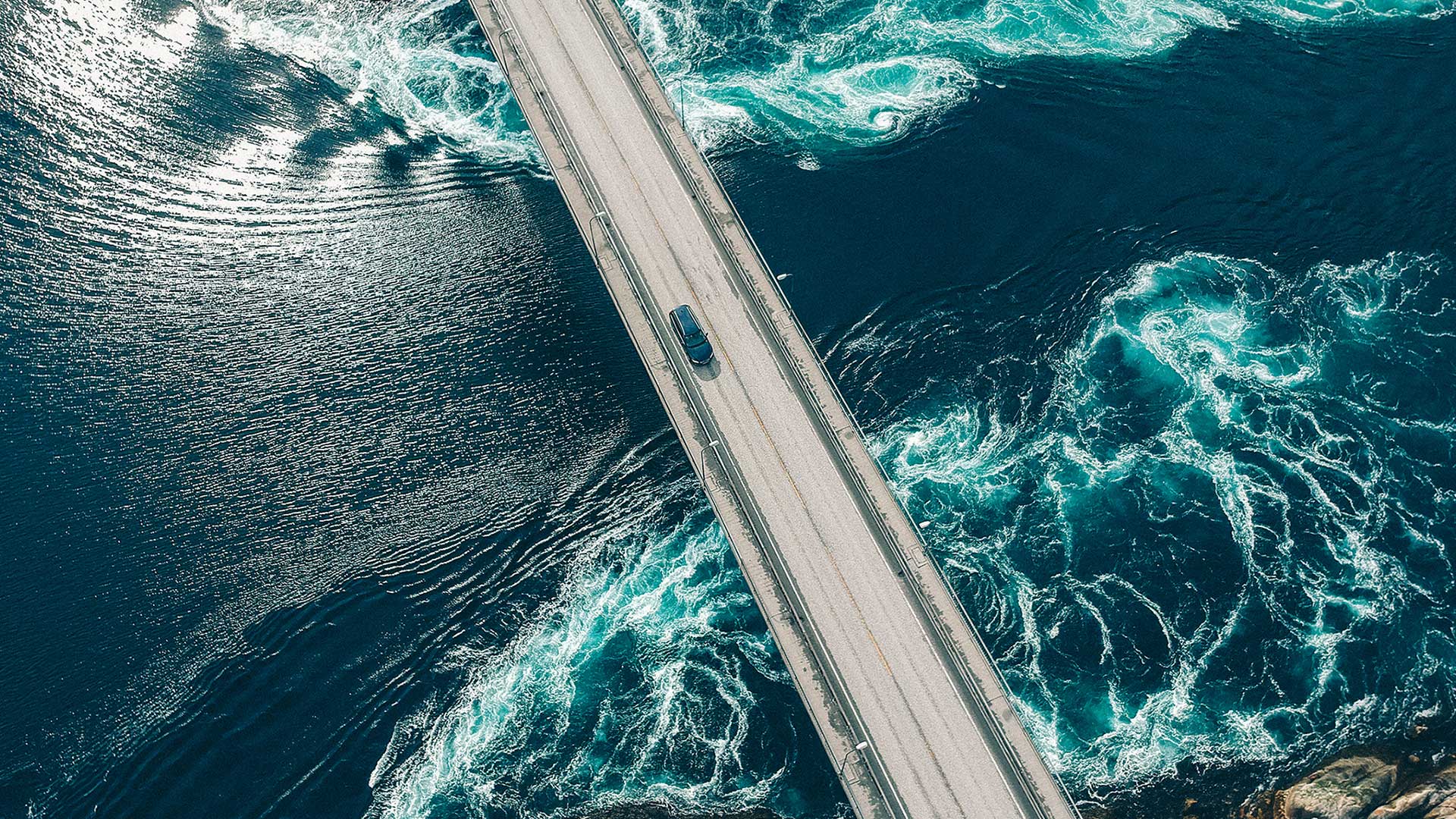 Our Purpose At Lithium Harvest