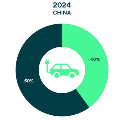 China EV Sales Share 2024